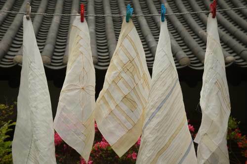 수건 세균. 사진=동아일보DB