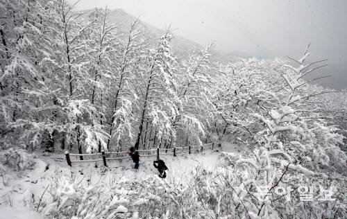 기상청 오늘날씨. 사진=동아일보DB