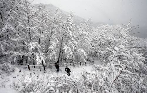 한파.사진=동아닷컴DB