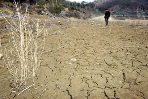 말라붙은 호수.사진=동아일보DB(해당기사와 무관)