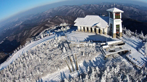 강원 평창군 대관령면 용평리조트. 용평리조트 제공