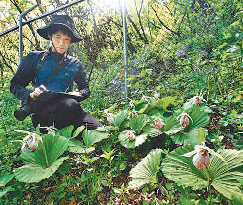 산림청은 올해 정책 목표를 ‘임업인에게는 희망을, 기업에는 활력을, 국민에게는 행복을’로 정하고 다양한 정책을 추진하기로 했다. 한 산림청 직원이 야생화 표본을 조사하고 있다. 산림청 제공