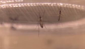 사진=채널A 방송캡처