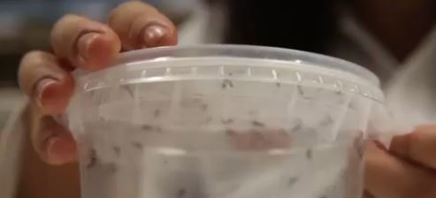 사진=채널A 방송캡처