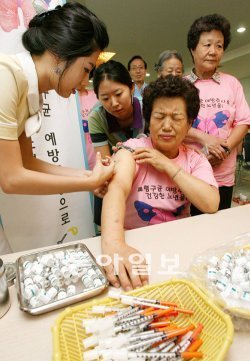 독감 감기 구분법. 사진= 동아일보DB