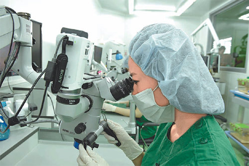 대구경북첨단의료산업진흥재단 연구원이 실험동물센터에서 고화질 현미경으로 동물 세포를 관찰하고 있다. 대구시 제공