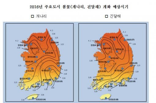 봄꽃 개화 시기. 사진= 민간기상업체 ‘케이웨더‘캡처