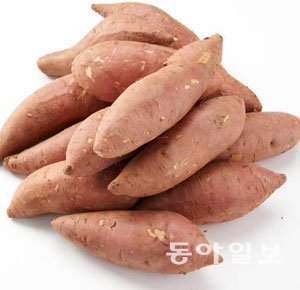 고구마 칼로리. 사진= 동아일보DB