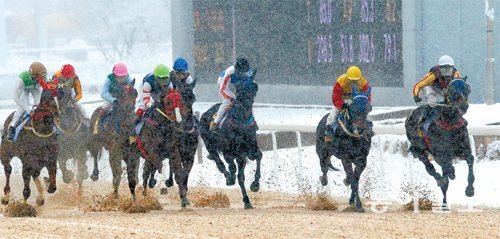28일 경기 과천시 렛츠런파크에서 열린 제20회 동아일보배 대상경주(4세 이상 국산 암말 1800m)대회에 참가한 경주마들이 함박눈을 뚫고 질주하고 있다. 과천=양회성 기자 yohan@donga.com