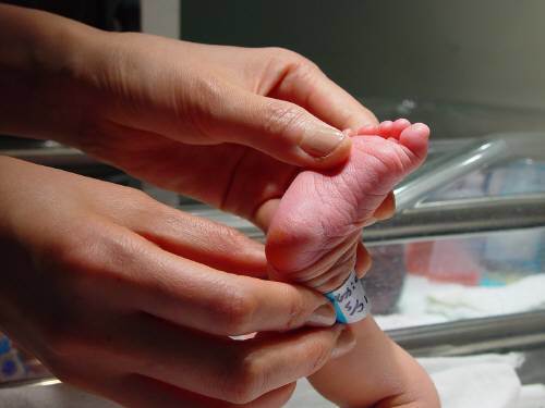 사진제공=기사와 관계없는 자료사진/동아DB