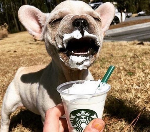 사진 출처= 인스타그램 justine.marieee 계정