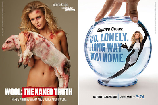 사진출처=PETA 공식 홈페이지.