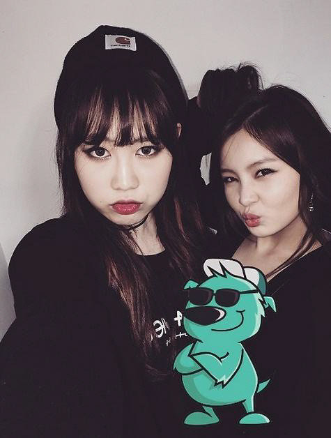 사진제공=소셜미디어