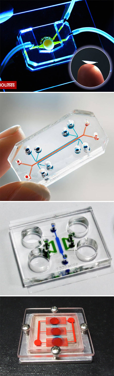 최근 생명과학계에서는 인체의 장기를 모방한 ‘인체 장기 칩(organ-on-a-chip)’이 각광받고 있다. 전자회로와 살아 있는 세포를 결합해 실제 장기 기능을 칩 위에 구현했다. 눈을 닮은 ‘아이온어칩(Eye-on-a-chip)’, 허파꽈
리를 재현한 ‘렁온어칩(Lung-on-a-chip)’, 미세혈관을 모방한 ‘혈관온어칩’, 장기 3개를 연결한 ‘멀티 장기 칩’(맨위부터). 허동은 미국 펜실베이니아대 교수·전누리 서울대 교수·성종환 홍익대 교수 제공