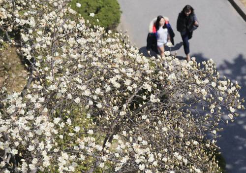 [오늘 날씨]주말까지 꽃샘추위. 사진=동아일보DB