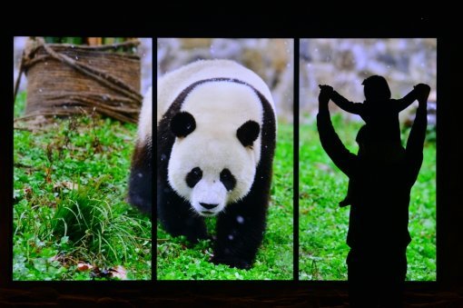 총 제작비 200억 원을 들여 만든 국내 유일의 판다 관람 시설인 에버랜드의 ‘판다월드’. 에버랜드 제공