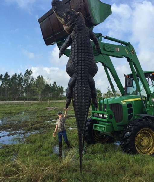 (사진=Blake Godwin)