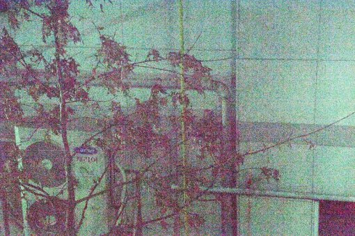 D5의 ISO 328만 화소 결과물. 컬러 노이즈가 두드러진다. (출처=IT동아)