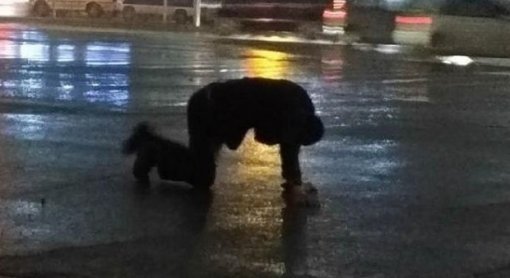비가 쏟아지던 날, 도로를 기어가는 남성. 사진 출처= 웨이보