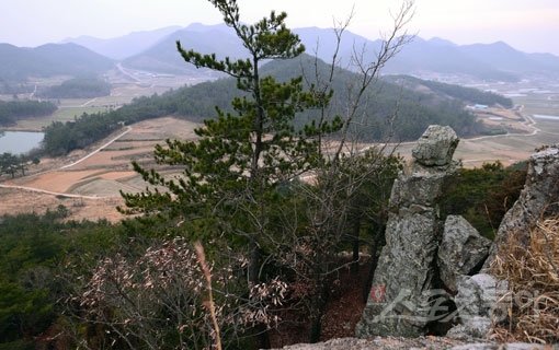 스님이 바랑을 메고 시중을 청하는 형상의 중바위(오른쪽)가 자리한 봉화산 정상에서 바라본 모룡리의 들판 전경. 고흥(전남)｜김종원 기자 won@donga.com