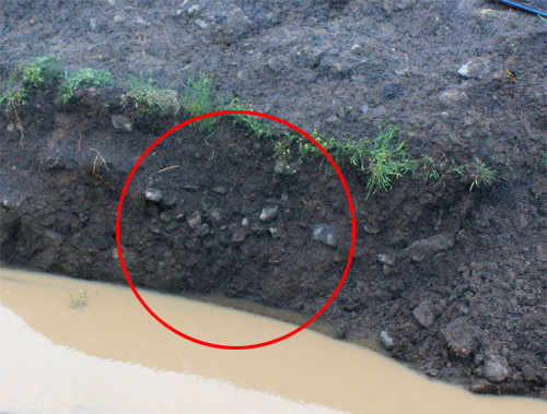 경계석축을 쌓기 위한 터파기 공사 때 훼손된 적심석 (붉은 원 안)이 보인다.