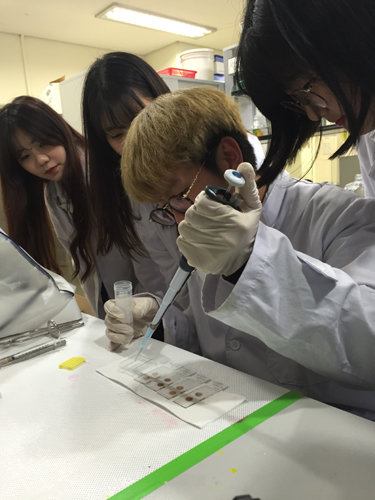 세포 배양과정을 실험중인 줄기세포재생생물학과 학생들.