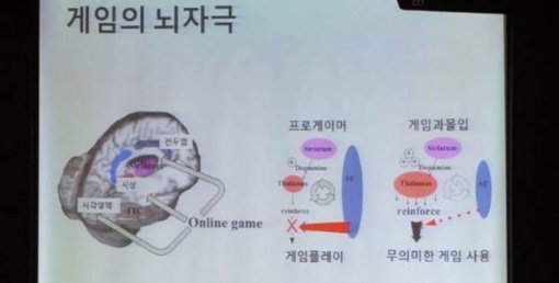 게임 과몰입과 게임문화: 게임 이용자 패널연구 현장 (출처=게임동아)