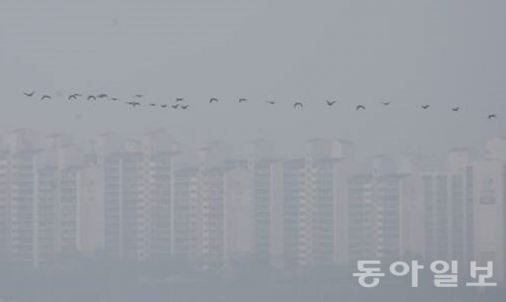 사진=동아DB/자료사진