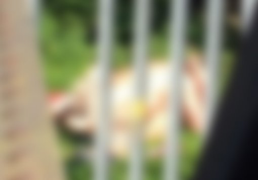 사진=해당 동영상 캡처