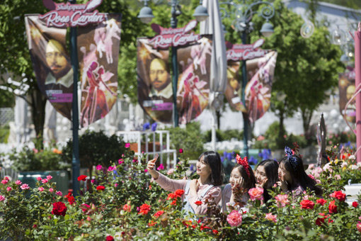 에버랜드 장미축제의 메인 무대인 ‘셰익스피어 로즈가든’ 사진제공｜에버랜드