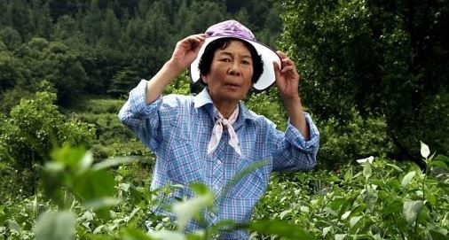 영화 ‘할머니는 1학년’에 출연했던 고 김진구