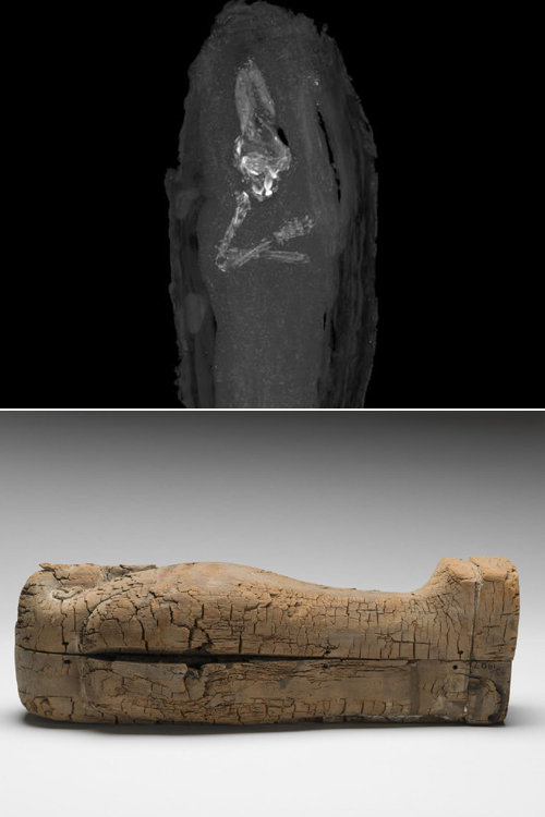 사진=피츠윌리엄 박물관 제공