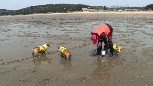 사진제공｜채널A