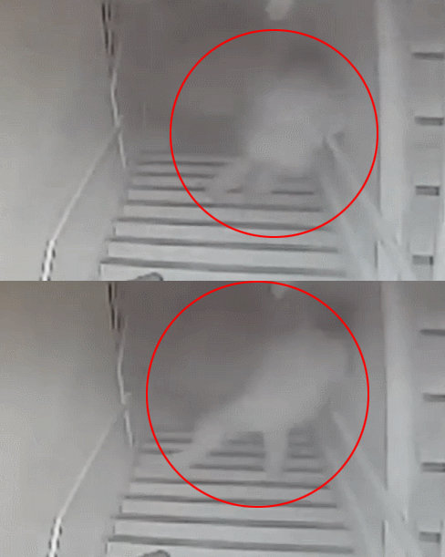 사진=강남역 묻지마 살인 사건 현장 부근 CCTV 캡처