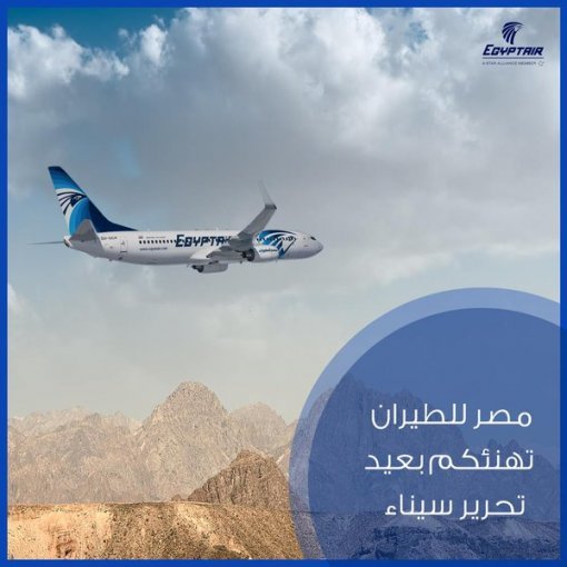 이집트항공 여객기(자료사진)