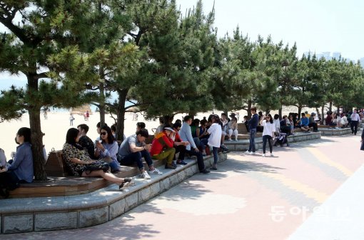 22일 휴일을 맞아 해운대해수욕장으로 나들이 나온 시민들이 햇살이 따갑자 송림그늘로 숨어들었다. 서영수 기자 kuki@donga.com