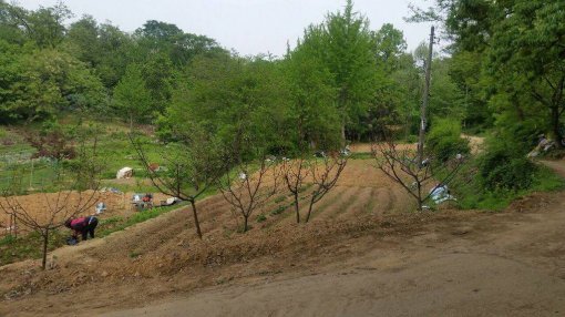 정부의 개발제한구역(그린벨트) 규제완화 소식이 전해지면서 하남 그린벨트 토지에 투자자들의 관심이 쏠리고 있다. ㈜하이랜드에서 공개분양에 나선 감북동·초이동 토지는 관심의 대상이며 뛰어난 접근성에 9호선 지하철역 개통 등여러 호재가 겹치면서 문의가 잇따르고 있다.㈜하이랜드 제공