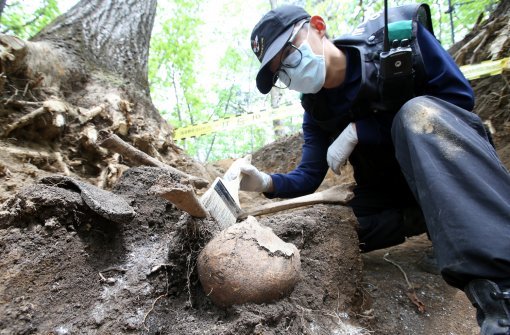 국방부 유해발굴감식단 장병이 23일 오후 강원도 인제 덕적리 가리봉 1050고지에서 6.25전쟁 전사자 유해를 수습하고 있다. 가리봉 지역은 1951년 5월 15일부터 17일까지 아군 수도사단과 3사단이 적군 6사단및 12사단과 격전을 벌였던 곳으로 국방부 유해발굴감식단은 이곳에서 이날까지 3년간 21구의 6.25전쟁 전사자 유해를 수습했다.
