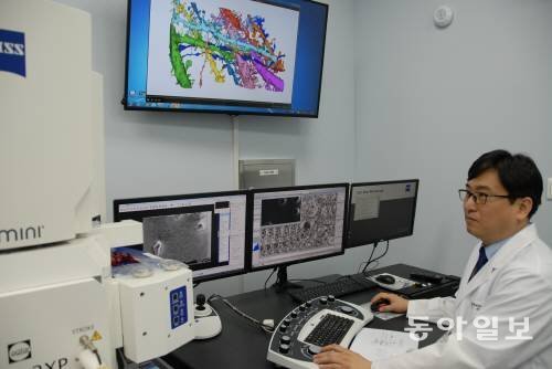 한국뇌연구원 이계주 뇌신경망연구부장이 3차원 전자현미경으로 뇌세포 구조를 관찰하고 있다.이권효기자 boriam@donga.com