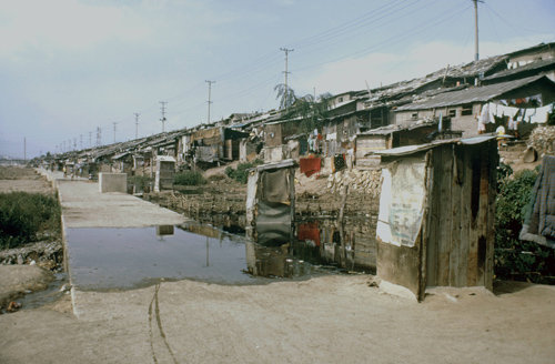 공동화장실이 늘어서 있는 1973년 무렵의 서울 청계천 판자촌. 서울역사박물관 제공