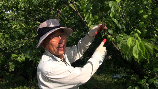 사진제공｜채널A