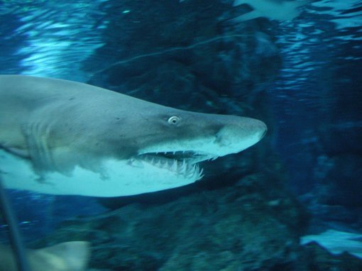 사진=동아일보 DB