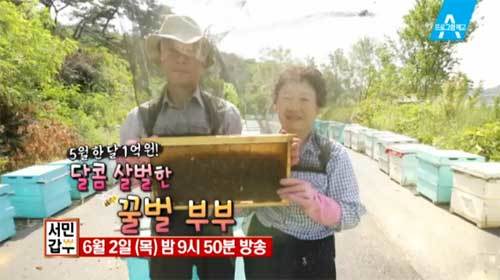 사진 채널A 영상캡처