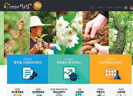 한국임업진흥원 ‘다드림(林) 서비스’의 홈페이지 화면. 산의 주소를 입력하면 산의 모양, 산길, 적합한 작물 등의 정보를 알려준다. 한국임업진흥원 제공