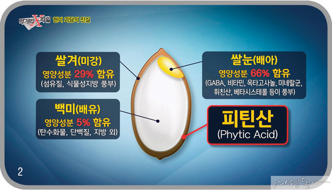 1 2 현미에 포함된 피틴산
성분은 칼슘, 마그네슘, 인 등
무기질의 체외 배출을 촉진해
영양소의 손실을 초래한다.