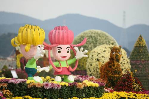 제4회 한국축제박람회]마산가고파국화축제, 오색 국화가 전하는 아름다운 가을편지 : 뉴스 : 동아일보