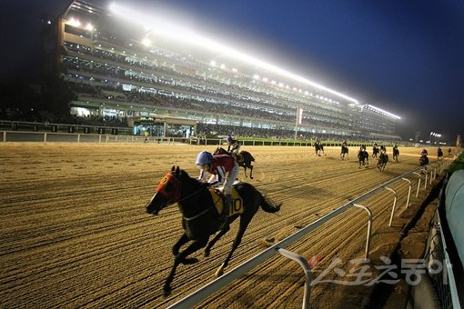 한국마사회가 23일 경마비리를 예방하기 위해 ‘특별 자수기간 운영’ 등 대책을 마련했다. 사진은 야간경마 장면으로 기사와 직접 관련 없음. 스포츠동아DB