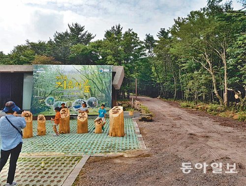 제주 서귀포시 호근동 지역 시오름 일대에 조성한 ‘치유의 숲’이 개장했다. 삼나무 편백나무 동백나무 등 식생이 골고루 분포하고 있으며 숲 치유와 관련한 다양한 프로그램이 운영된다. 임재영 기자 jy788@donga.com