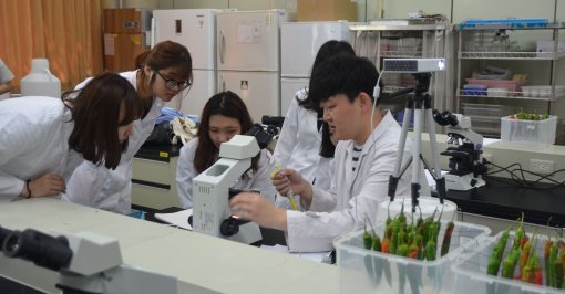 BT융합제약공학과 윤성철교수(맨 오른쪽)의 지도하에 1학년학생들이 식물병리학 연구실 체험을하고 있다. 선문대 제공