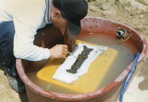 1990년대 당시 신창동 발굴 현장. 부식되기 쉬운 목기와 칠기 등이 다수 출토됐다.